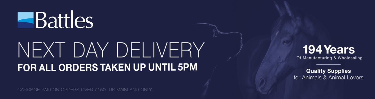 12 Days of Christmas